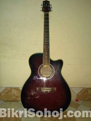 Custom guitar